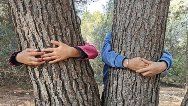 câlin aux arbres 2 - Saint-Marcel-sur-Aude
