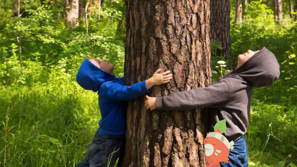 enfants qui fait un câlin à un arbre - Saint-Marcel-sur-Aude