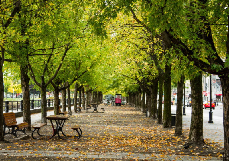 square - Saint-Marcel-sur-Aude