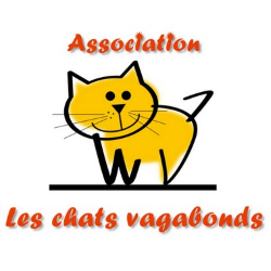 Les chats vagabonds - Saint-Marcel-sur-Aude